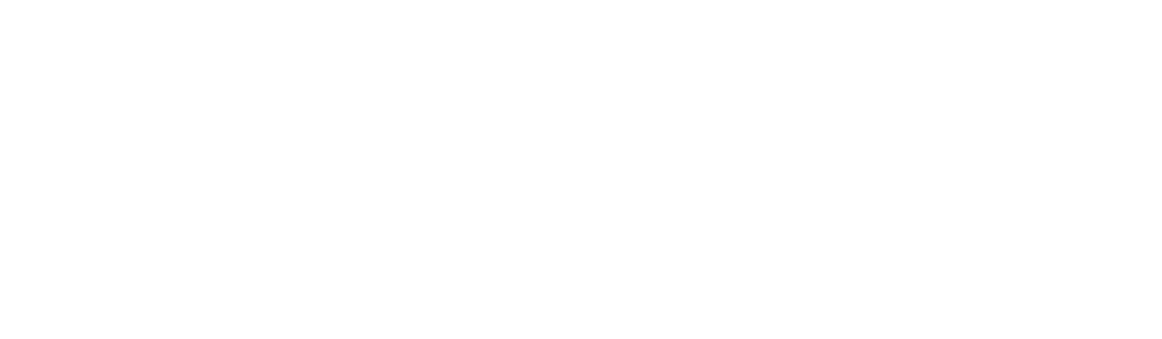 Nester Finn logo